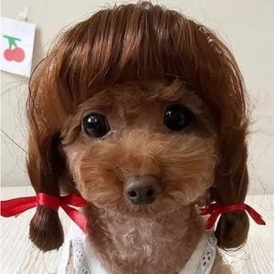 Meet your Posher, Val